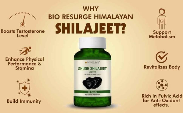 Benefits of shilajit 